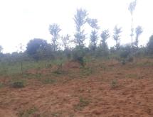 Plot for sale in Bugesera Near airport of Rwanda Kabeza - Image 1