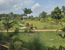 Kigali family villa available for rent in Kibagabaga near international school  - Image 5