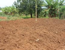  Bugesera Residential land for sale Juru near airport of Rwanda - Image 1