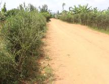Bugesera Residential land for sale Juru near airport of Rwanda near main road - Image 2