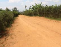 Bugesera Residential land for sale Juru near airport of Rwanda near main road - Image 3