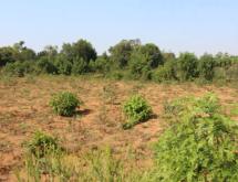 Land for sale in Bugesera Juru near airport of Rwanda hot deal view of airport  - Image 1