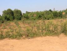 Residential land for sale Juru near airport of Rwanda View of airport  - Image 3