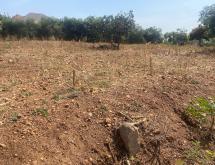 Kigali plot for sale in Kagarama Muyange  - Image 2