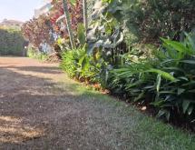 Kigali Spacious pool villa available for rent in Kacyiru  - Image 4