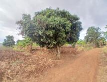 Plot for Sale in Gasogi, Kigali - Image 1