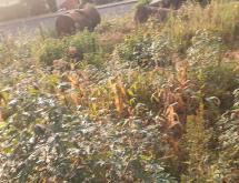 Kigali Residential plot for sale in Nyarugenge Rwanda Kimisagara - Image 1