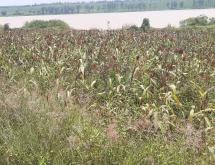 Land for sale in Bugesera RILIMA near airport of Rwanda hot deal access on lake - Image 3