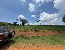 Kigali Rwanda plot for sale in Bugesera  - Image 2