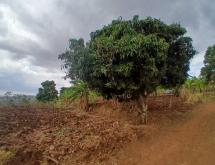 Plot for Sale in Gasogi, Kigali - Image 2