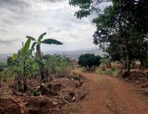 Plot for Sale in Gasogi, Kigali - Image 3