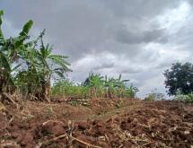 Plot for Sale in Gasogi, Kigali - Image 4