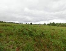 Kigali Rwamagana Gishari Gati Tourism Plot for Sale - Image 2