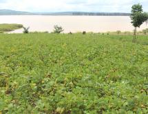 Ecotourism and Hotel and Commercial plot for sale in Gashora Bugesera good deal access on lake - Image 4