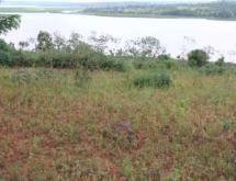 Land for sale in Bugesera RILIMA near airport of Rwanda hot deal access on lake - Image 2