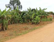Residential Plot for Sale in Shyorongi - Image 2