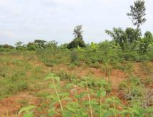 Residential Plot for Sale in Shyorongi - Image 3