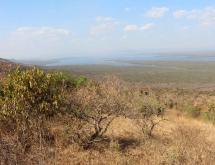 Ecotourism and Hotel plot for sale in Akagera national park Kayanza - Image 1