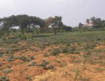 Residential land for sale Juru near airport of Rwanda Good view  - Image 1