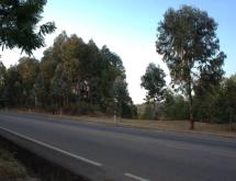 Kigali Plot for sale in Nyamagabe Kigeme - Image 1