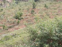 Kigali Residential Plot for sale in Kimisagara Nyarugenge  - Image 3