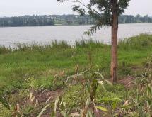 Land for sale in Bugesera RILIMA near airport of Rwanda hot deal access on lake - Image 1