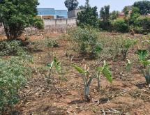 Residential Land for sale in Rilima near airport of Rwanda  - Image 1