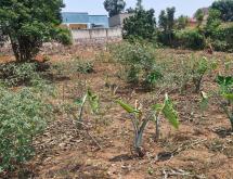 Residential Land for sale in Rilima near airport of Rwanda  - Image 3