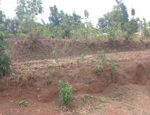 Kigali Nice Plot for Sale in Gasanze – Gatunga physical plan - Image 4