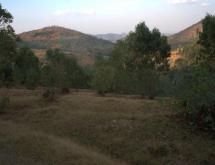 Kigali Plot for sale in Nyamagabe Kigeme - Image 4