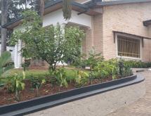 Kigali Family villa available for rent in Kiyovu near National Bank of Rwanda  - Image 1