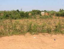 Ecotourism and Hotel plot for sale in  Bugesera near airport of Rwanda access on main road from airport - Image 5