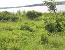 Land for Sale in Rukumberi, Ngoma, with Direct Lake Access - Image 2