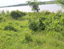 Land for Sale in Rukumberi, Ngoma, with Direct Lake Access - Image 3
