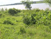 Land for Sale in Rukumberi, Ngoma, with Direct Lake Access - Image 1