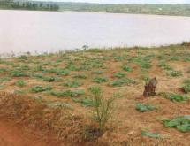 Land for sale in Bugesera RILIMA near airport of Rwanda hot deal access on lake - Image 2
