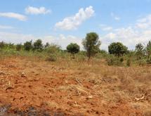 Land for sale in Bugesera Kamabuye Rwanda hot deal - Image 2