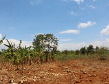 Land for sale in Bugesera Kamabuye Rwanda hot deal - Image 3