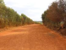 Land for sale in Bugesera kamabuye Rwanda hot deal - Image 2