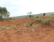 Land for sale in Bugesera kamabuye Rwanda hot deal - Image 4