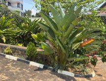 Kibagabaga house for rent in Kigali - Image 3