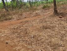 Land for sale in Bugesera RILIMA near airport of Rwanda Access on main road  - Image 3