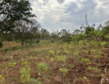 Kigali prime 8,600 sqm plot for sale in the prestigious Rebero  - Image 2