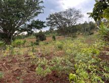 Kigali prime 8,600 sqm plot for sale in the prestigious Rebero  - Image 5