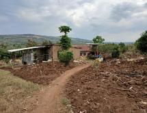 big land for sale in Rwamagana  - Image 4