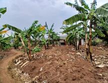 big land for sale in Rwamagana  - Image 5