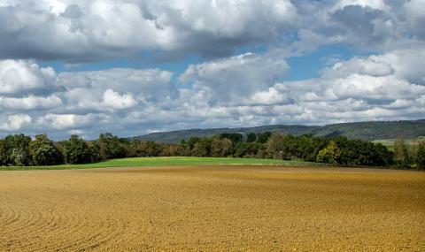 Ideas for making money with vacant land in Rwanda