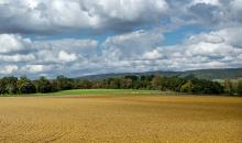 Ideas for making money with vacant land in Rwanda