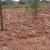 Residential Plot for sale in Bugesera near airport Hot deal Rilima