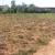Land for sale in Bugesera near airport of Rwanda